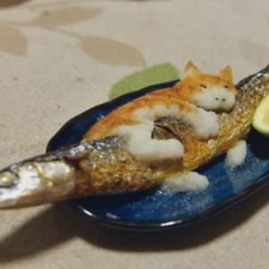 もう離さないニャ 秋刀魚にしがみつくニャンコの大根おろしアートが可愛い ガジェット通信 Getnews