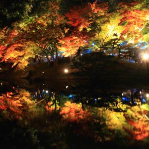 全国紅葉の絶景 歳月で育まれた景勝地 香川県の紅葉人気スポット ガジェット通信 Getnews