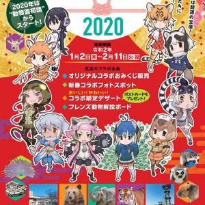 開運おみくじなど新春企画も けものフレンズ と日立市かみね動物園がコラボ ガジェット通信 Getnews