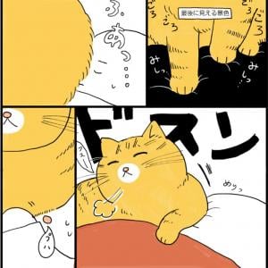 愛猫との 添い寝風景 を描いた漫画に羨望の声殺到 人類が目指すべき生活 羨ましすぎて駄目になりそう ガジェット通信 Getnews