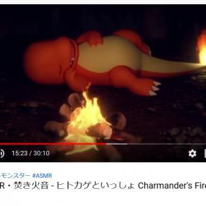 焚き火をつけてくれるの感動 ヒトカゲがすやすや眠る公式asmr動画にトレーナー悶絶 アニポケ初期が思い浮かんだ 神動画 ガジェット通信 Getnews