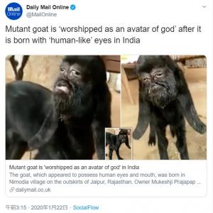 インドで誕生した 人面ヤギ 地元住民は神様の化身として崇拝 ガジェット通信 Getnews