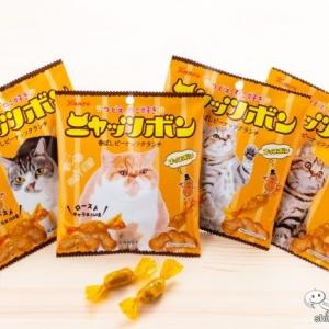 猫の日専用おやつ カンロ ナッツボン が ニャッツボン になって期間限定発売 ガジェット通信 Getnews