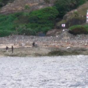 動画 尖閣諸島の魚釣島に上陸して国旗を振る日本人の映像 ガジェット通信 Getnews