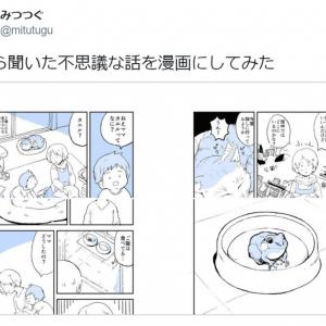 猫は人間の言葉を理解している 不思議な体験談漫画がtwitterで大反響 ガジェット通信 Getnews