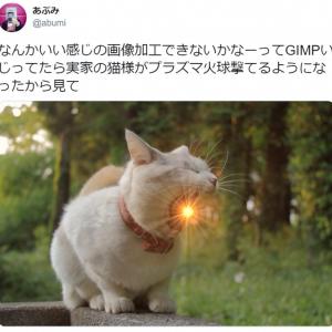 プラズマ火球を撃つ猫の写真がtwitterで大人気 ニャメラ 一兆度ありそう との声 ガジェット通信 Getnews