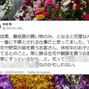 花屋なんて一番に不要とされる仕事だと思っていた 花屋スタッフのツイートに反響 ガジェット通信 Getnews