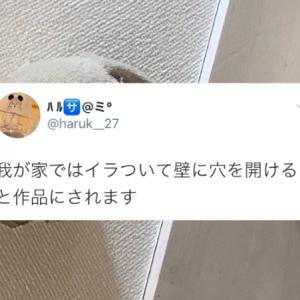 モダンアートだ 笑 壁に穴を開けると作品にされるという斬新な家庭のルールが話題 ガジェット通信 Getnews