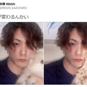 お前が変わるんかい 愛犬との自撮り写真にfaceappでフィルターをかけたらこうなった ガジェット通信 Getnews