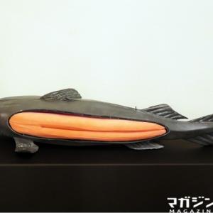 アルコキシグリセロールとスクアレンのダブル効果で免疫力アップ コロナ禍で鮫肝油が注目される理由 ガジェット通信 Getnews