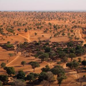 コペンハーゲン大 Aiでサハラ砂漠に数億本の木を発見 ガジェット通信 Getnews