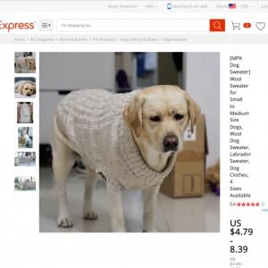 めっちゃ嫌そうな顔w こんな不服そうな顔ある 犬用セーターの宣材写真に写ったワンちゃんが話題に ガジェット通信 Getnews