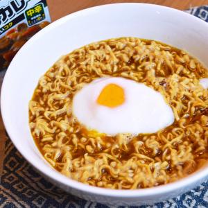 チキンラーメンにジャワカレーをひとかけら入れると究極のカレーラーメンに変身 鶏ガラの旨味とスパイスが極限まで味を高め合う ガジェット通信 Getnews