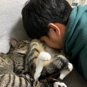 新種の依存症 猫吸いがやめられなくなってしまった飼い主への共感がすごい ガジェット通信 Getnews