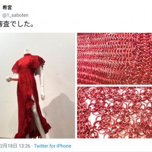 めちゃくちゃ素敵 美しすぎる鎖帷子 金沢美大生の卒業制作アルミ製の真紅のドレスに驚きの声 ガジェット通信 Getnews