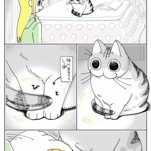 漫画 これわかるわぁ 猫の体に巻き付くしっぽを真っ直ぐにしたい話に共感の声 ガジェット通信 Getnews