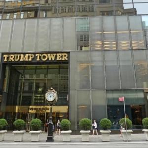 フロリダで事務所開設 愛国党 設立計画も トランプ一族 地元で総スカン ガジェット通信 Getnews