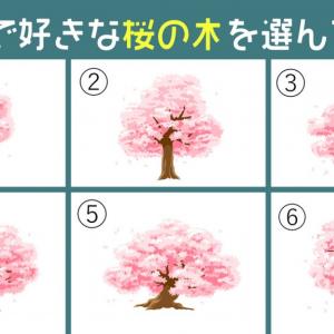 心理テスト 桜の木が導き出す あなたの 潔さ は何 ガジェット通信 Getnews