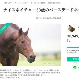 ウマ娘 の大ヒットも影響 支援金額3000万円突破 残り数日間の ナイスネイチャ 33歳のバースデードネーション ガジェット通信 Getnews