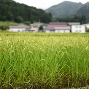 理想の生き方かもしれない 晴耕雨読 とはどんな意味 ガジェット通信 Getnews