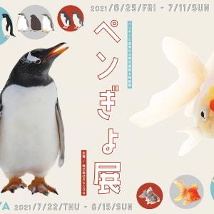 ペンギン 金魚 夏にピッタリな涼しさ感じる ペンぎょ展 21 が東京 名古屋で開催 ガジェット通信 Getnews