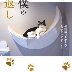 猫マスター響介の 猫ファースト な家づくり本 下僕の恩返し が発売 ガジェット通信 Getnews