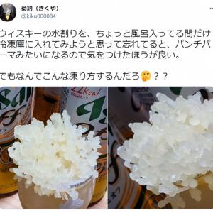 ウイスキーの水割りを冷凍庫に入れていたら パンチパーマみたいになった 驚きの光景がこちら ガジェット通信 Getnews