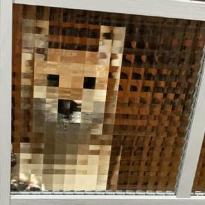 マイクラ犬 お出迎えをしてくれている愛犬にモザイクが ガジェット通信 Getnews