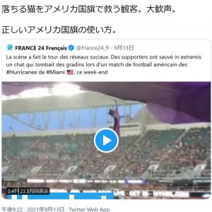 アメフト会場で猫が高所から落下 観客が国旗でキャッチする動画が話題に ひろゆきさん 正しいアメリカ国旗の使い方 ガジェット通信 Getnews