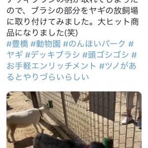 ヤギの放飼場にデッキブラシの柄を取り付けた結果 大ヒット商品になりました まさに痒い所に手が届く ガジェット通信 Getnews