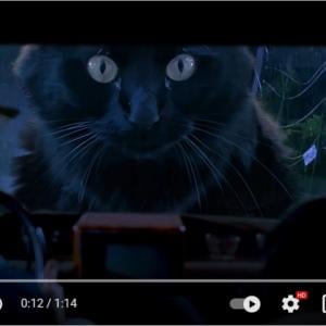 ティラノサウルスがネコになった ジュラシック パーク のパロディ動画 この動画は映画館で観たい 車の上から覗き込むシーンは怖い ガジェット通信 Getnews