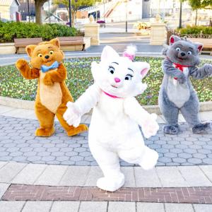 2月22日は子ネコのキャラクター マリー の日 東京ディズニーランドにマリーモチーフの限定メニューが登場 ガジェット通信 Getnews