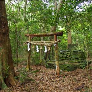 日本の美しい禁足地vol 1 薄暗く荘厳な雰囲気 長崎 対馬の オソロシドコロ ガジェット通信 Getnews