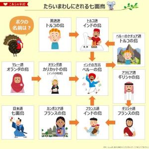 七面鳥はトルコでは インドの鳥 インドでは ペルーの鳥 たらいまわしにされていることをまとめた相関図が話題に ガジェット通信 Getnews