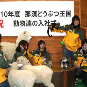 人事部長はアルパカ 那須どうぶつ王国で動物たちの 入社式 ガジェット通信 Getnews
