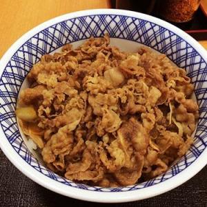 松屋のプレミアム牛めしを食べた人達から 吉野家の牛丼に似ている という感想 ガジェット通信 Getnews