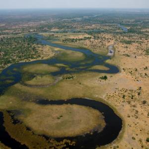 ボツワナの世界遺産オカバンゴデルタに行ってみた 野生動物だらけ ガジェット通信 Getnews