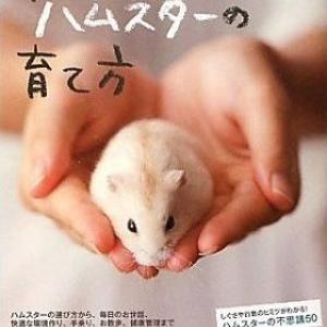 どっちのミカタ ハムスター釣り ６割 動物虐待 ガジェット通信 Getnews