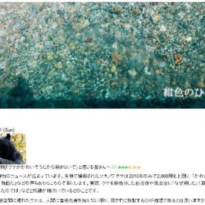 クマがかわいそうだから殺さないで と感じる皆さんへ ガジェット通信 Getnews